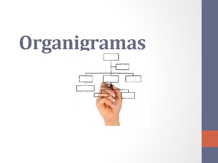 Organigramas 