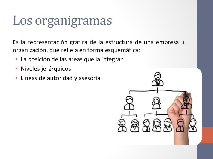 Los organigramas Es la representación grafica de la estructura de una empresa u organización,