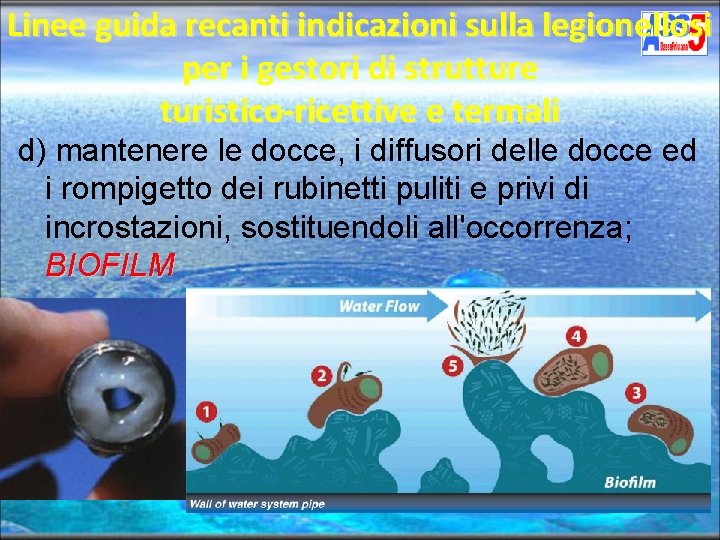 Linee guida recanti indicazioni sulla legionellosi per i gestori di strutture turistico-ricettive e termali