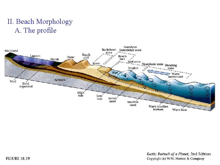 II. Beach Morphology A. The profile 