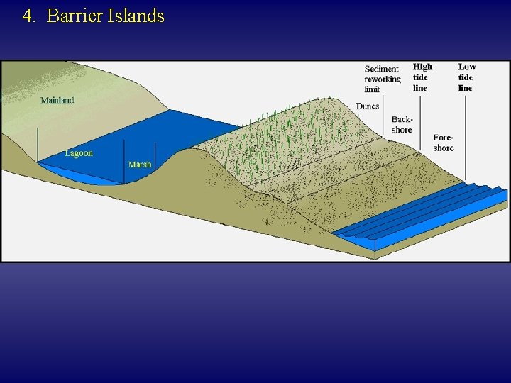 4. Barrier Islands 