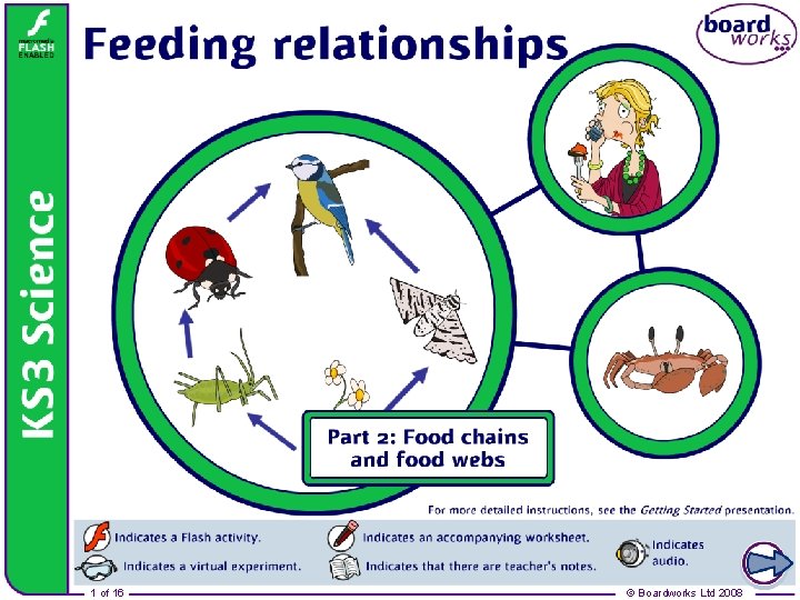 Feeding relationships 1 of 16 © Boardworks Ltd 2008 