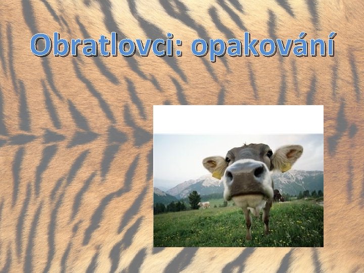 Obratlovci: opakování 