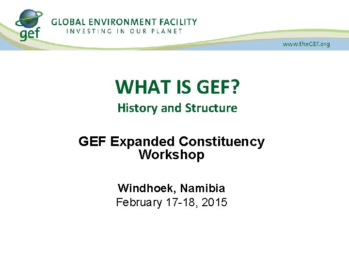 WHAT IS GEF? History and Structure GEF Expanded Constituency Workshop Windhoek, Namibia February 17