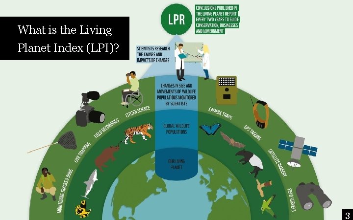 What is the Living Planet Index (LPI)? 3 