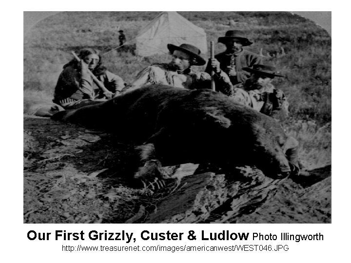 Our First Grizzly, Custer & Ludlow Photo Illingworth http: //www. treasurenet. com/images/americanwest/WEST 046. JPG