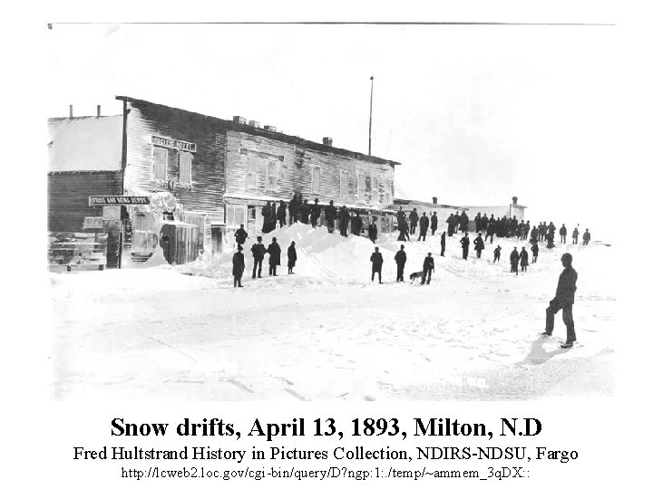 Snow drifts, April 13, 1893, Milton, N. D Fred Hultstrand History in Pictures Collection,