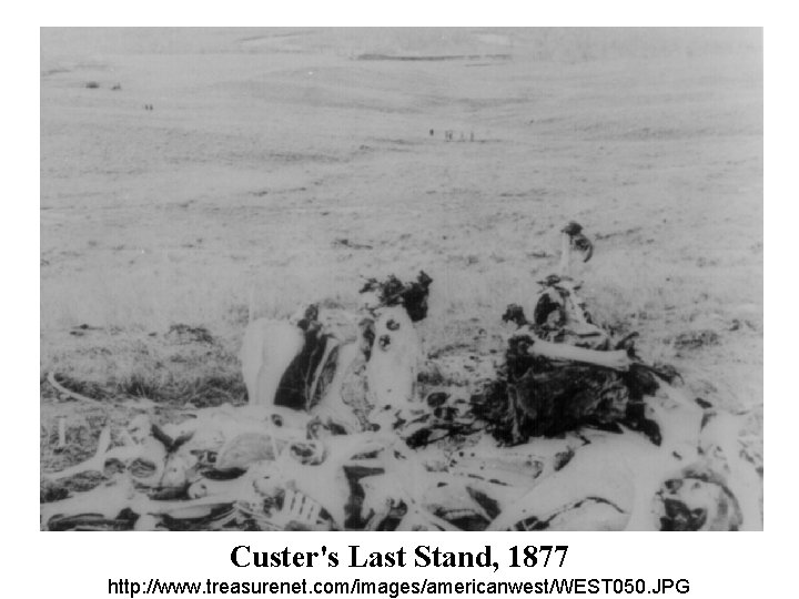 Custer's Last Stand, 1877 http: //www. treasurenet. com/images/americanwest/WEST 050. JPG 