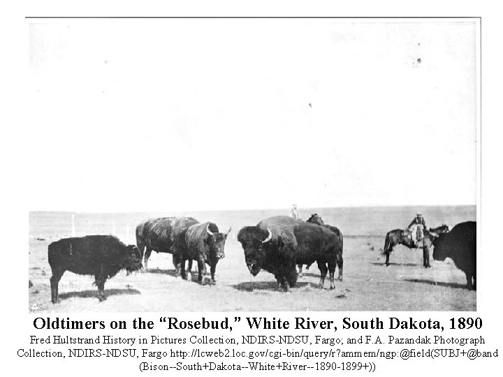 Oldtimers on the “Rosebud, ” White River, South Dakota, 1890 Fred Hultstrand History in