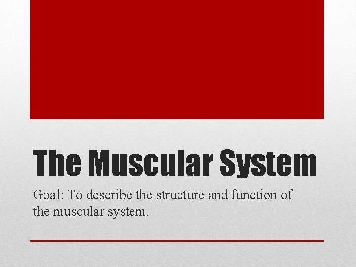 The Muscular System Goal: To describe the structure and function of the muscular system.