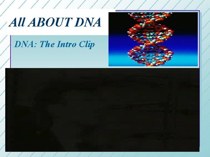 All ABOUT DNA: The Intro Clip SMP - 2013 17 All ABOUT DNA: The Intro Clip SMP - 2013 17