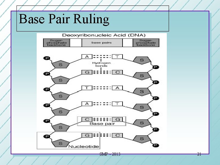 Base Pair Ruling SMP - 2013 21 Base Pair Ruling SMP - 2013 21