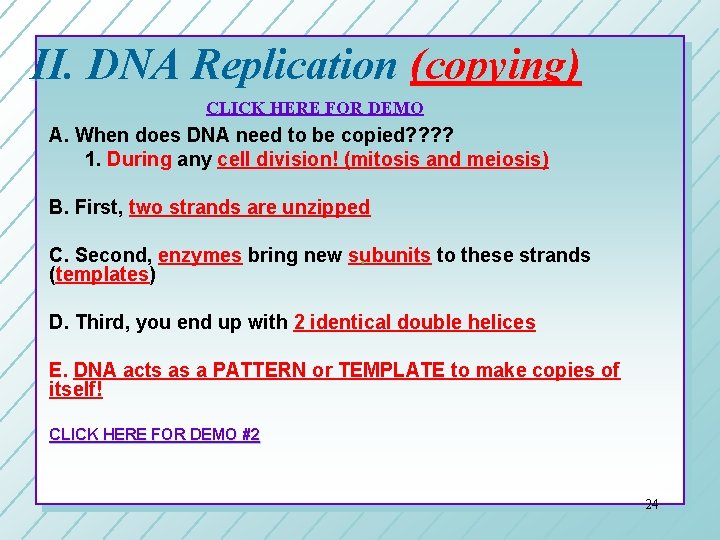 II. DNA Replication (copying) CLICK HERE FOR DEMO A. When does DNA need to II. DNA Replication (copying) CLICK HERE FOR DEMO A. When does DNA need to
