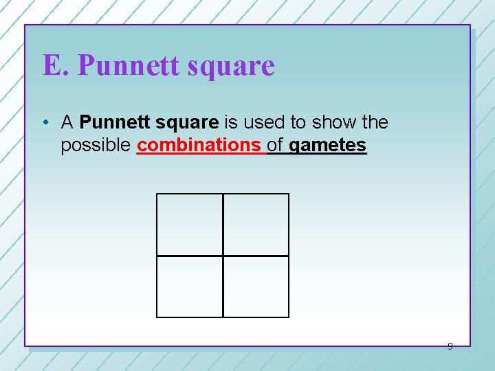 E. Punnett square • A Punnett square is used to show the possible combinations E. Punnett square • A Punnett square is used to show the possible combinations