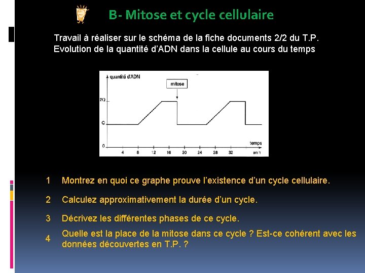 B- Mitose et cycle cellulaire Travail à réaliser sur le schéma de la fiche