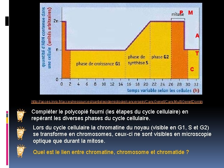 P M A T C http: //acces. inrp. fr/acces/ressources/sante/epidemiologie/cancersein/Canc. Genet/Canc. Multi. Genet. Domin Compléter