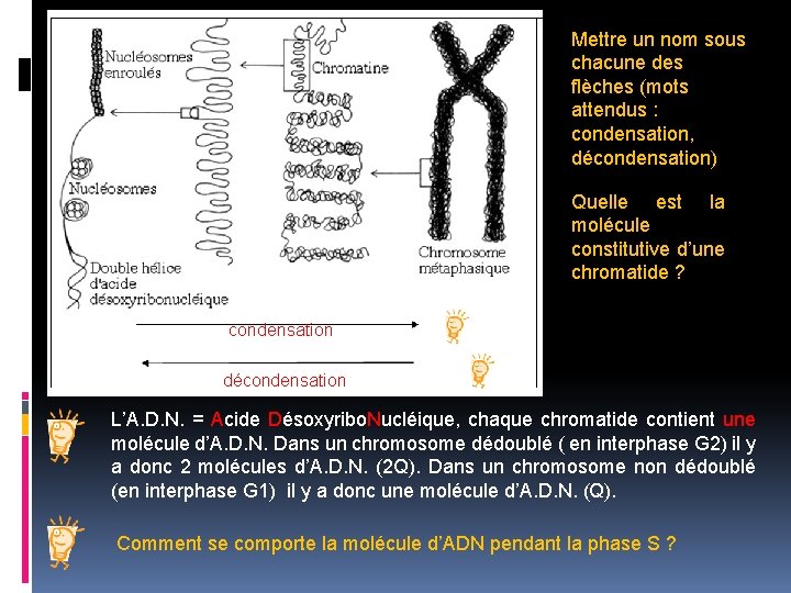 Mettre un nom sous chacune des flèches (mots attendus : condensation, décondensation) Quelle est