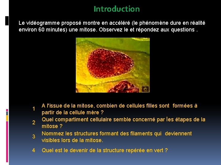 Introduction Le vidéogramme proposé montre en accéléré (le phénomène dure en réalité environ 60