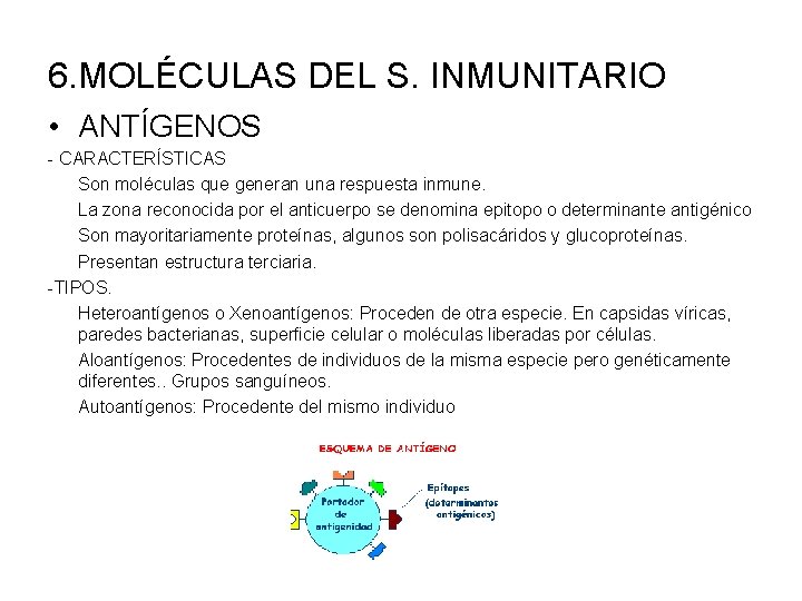 6. MOLÉCULAS DEL S. INMUNITARIO • ANTÍGENOS - CARACTERÍSTICAS Son moléculas que generan una