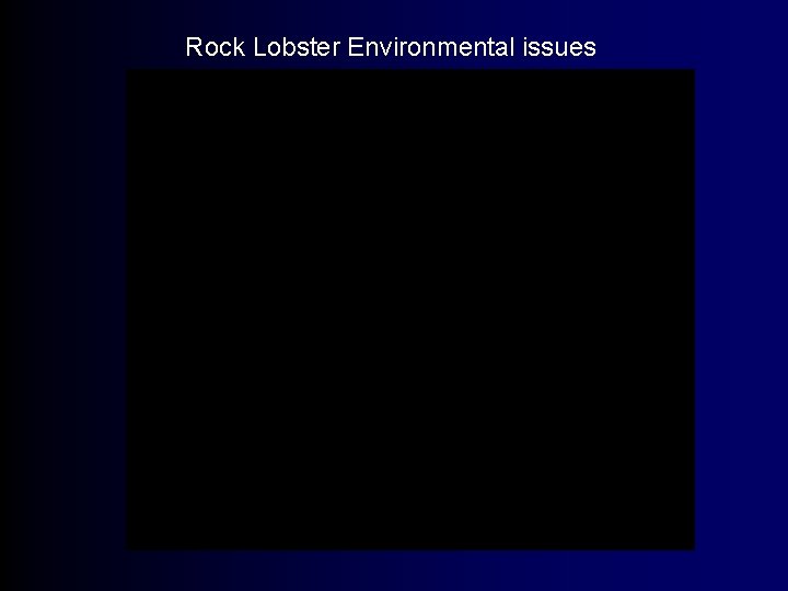 Rock Lobster Environmental issues 