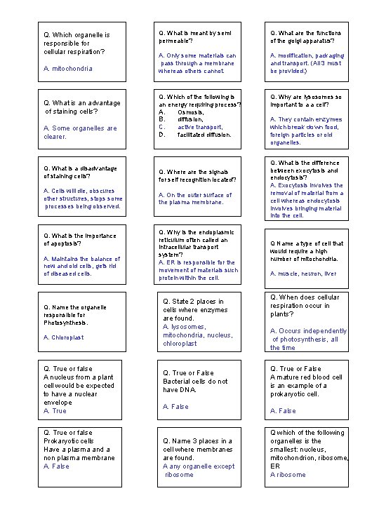 Q. Which organelle is responsible for cellular respiration? A. mitochondria Q. What is an