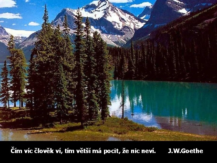 Čím víc člověk ví, tím větší má pocit, že nic neví. J. W. Goethe