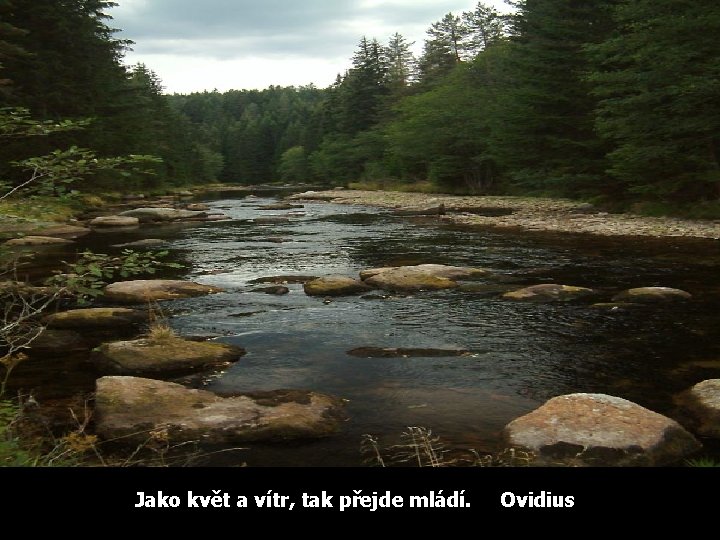 Jako květ a vítr, tak přejde mládí. Ovidius 