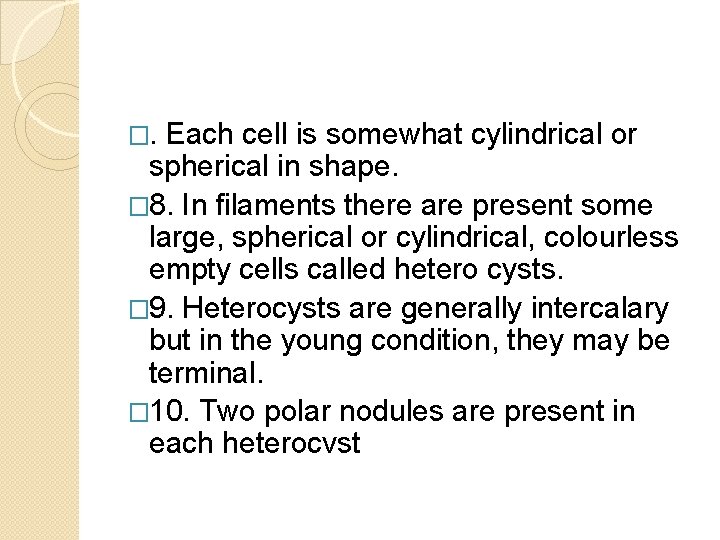 �. Each cell is somewhat cylindrical or spherical in shape. � 8. In filaments