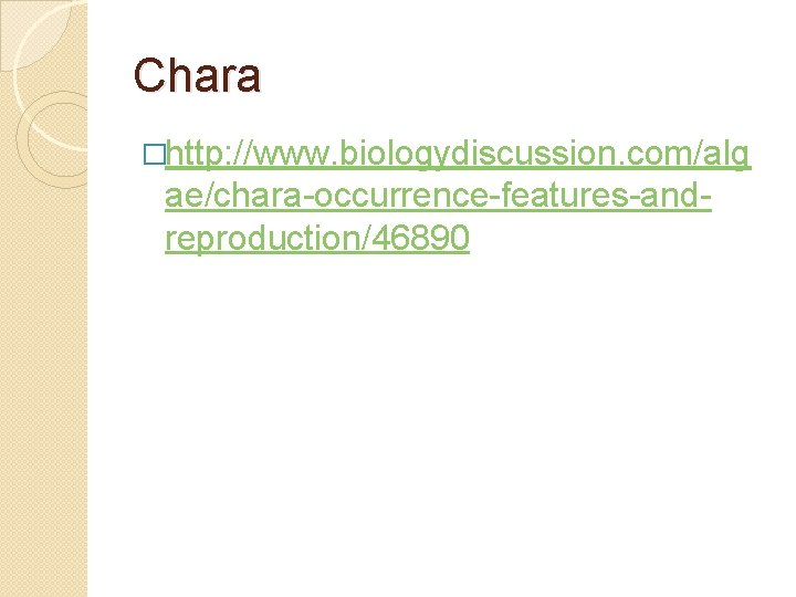 Chara �http: //www. biologydiscussion. com/alg ae/chara occurrence features and reproduction/46890 