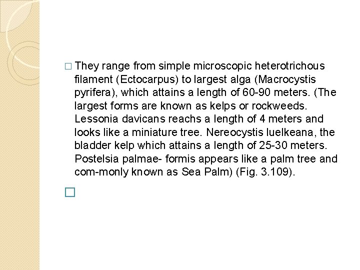 � They range from simple microscopic heterotrichous filament (Ectocarpus) to largest alga (Macrocystis pyrifera),