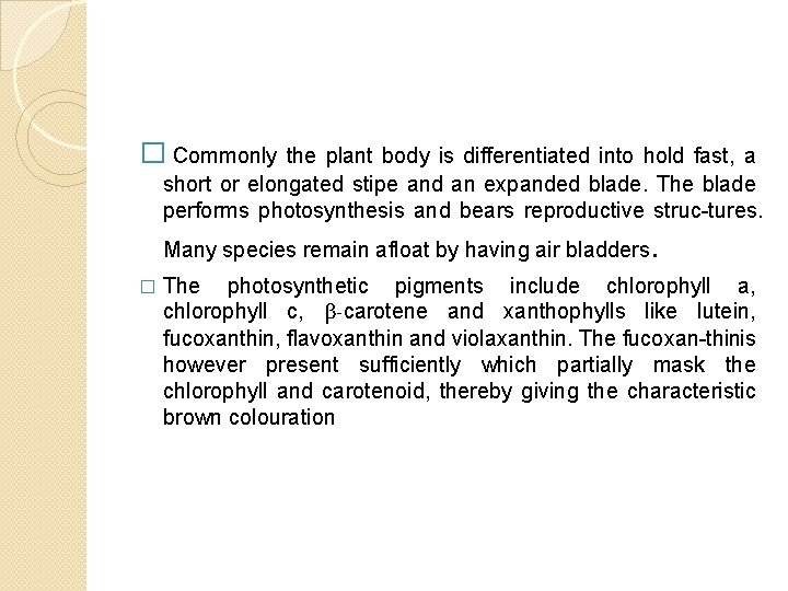 � Commonly the plant body is differentiated into hold fast, a short or elongated