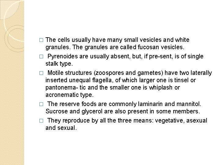 � The cells usually have many small vesicles and white granules. The granules are