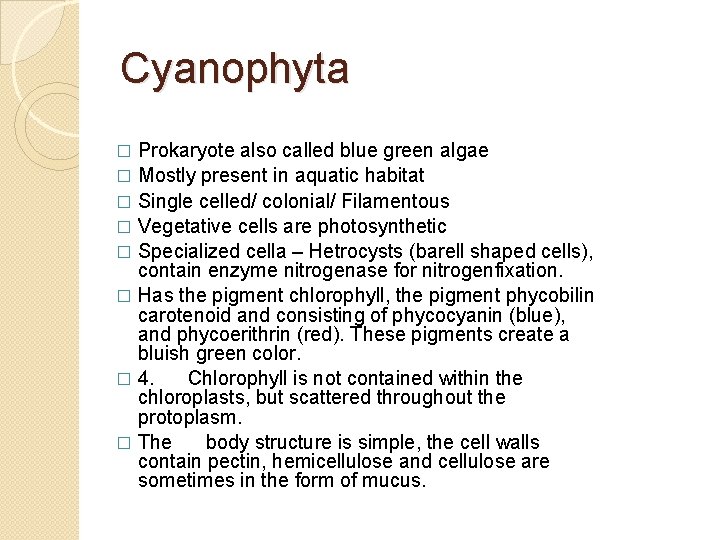 Cyanophyta Prokaryote also called blue green algae � Mostly present in aquatic habitat �