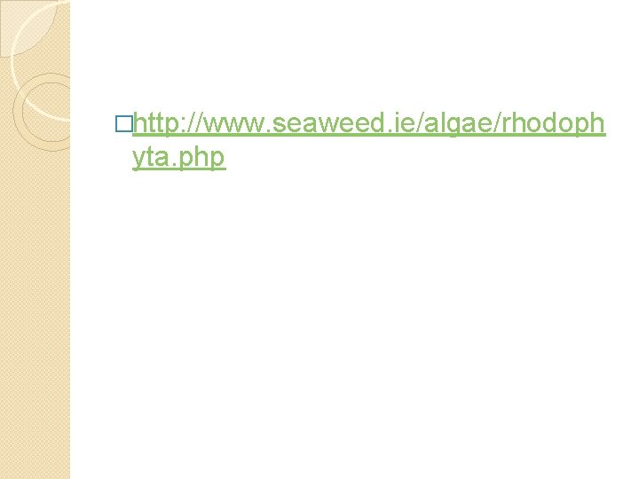 �http: //www. seaweed. ie/algae/rhodoph yta. php 