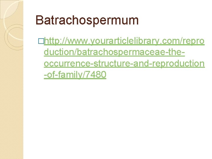 Batrachospermum �http: //www. yourarticlelibrary. com/repro duction/batrachospermaceae the occurrence structure and reproduction of family/7480 