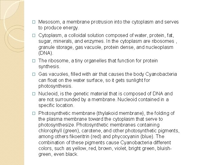 � Mesosom, a membrane protrusion into the cytoplasm and serves to produce energy. �