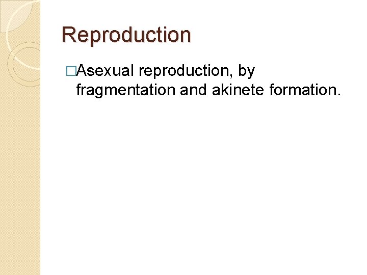 Reproduction �Asexual reproduction, by fragmentation and akinete formation. 