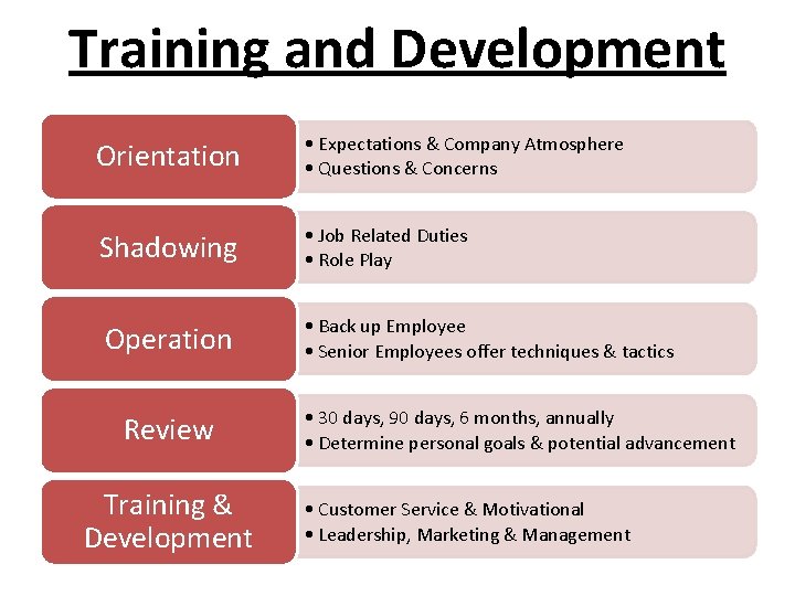 Training and Development Orientation • Expectations & Company Atmosphere • Questions & Concerns Shadowing