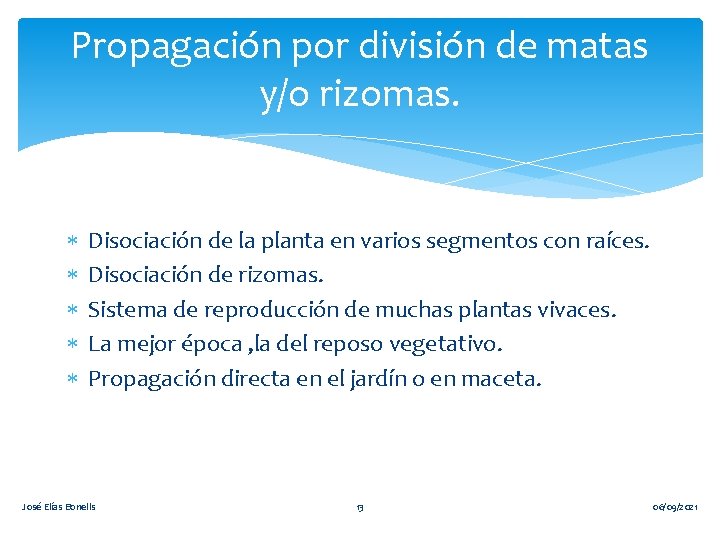 Propagación por división de matas y/o rizomas. Disociación de la planta en varios segmentos