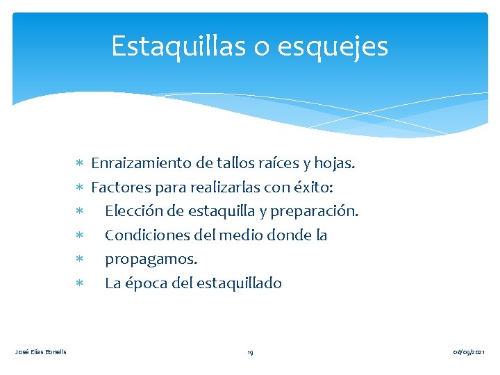 Estaquillas o esquejes Enraizamiento de tallos raíces y hojas. Factores para realizarlas con éxito: