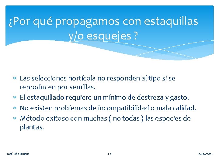 ¿Por qué propagamos con estaquillas y/o esquejes ? Las selecciones hortícola no responden al