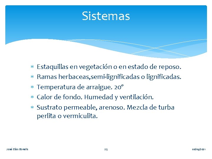 Sistemas José Elías Bonells Estaquillas en vegetación o en estado de reposo. Ramas herbaceas,