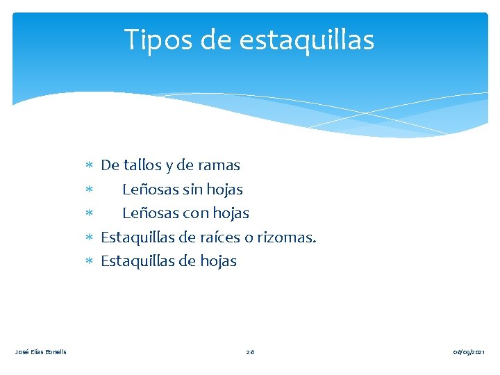 Tipos de estaquillas De tallos y de ramas Leñosas sin hojas Leñosas con hojas