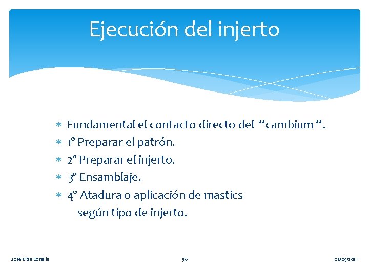 Ejecución del injerto José Elías Bonells Fundamental el contacto directo del “cambium “. 1º