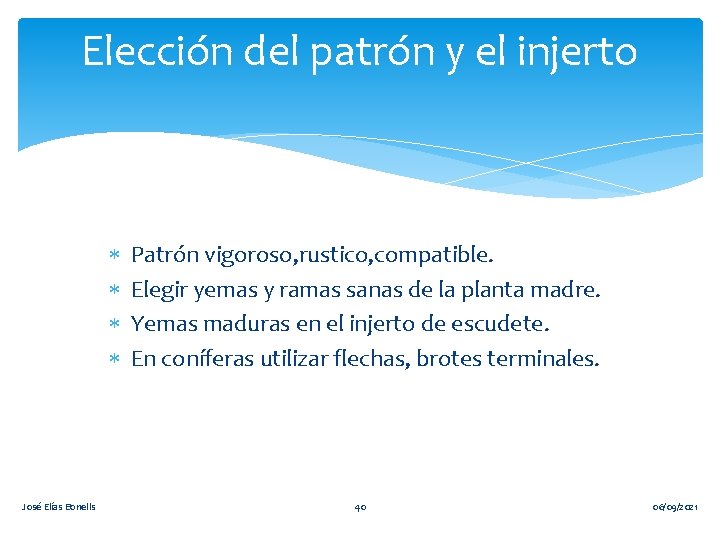 Elección del patrón y el injerto José Elías Bonells Patrón vigoroso, rustico, compatible. Elegir