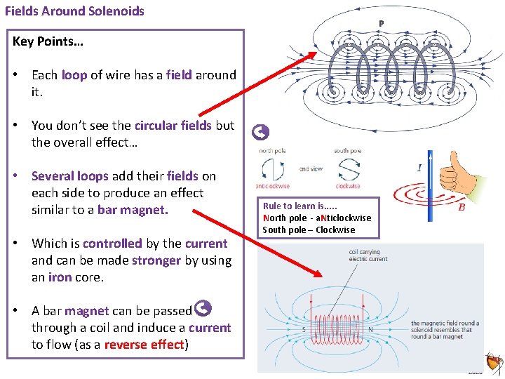 Fields Around Solenoids Key Points… • Each loop of wire has a field around Fields Around Solenoids Key Points… • Each loop of wire has a field around