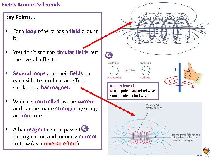 Fields Around Solenoids Key Points… • Each loop of wire has a field around