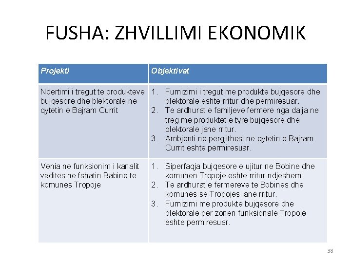 FUSHA: ZHVILLIMI EKONOMIK Projekti Objektivat Ndertimi i tregut te produkteve 1. Furnizimi i tregut