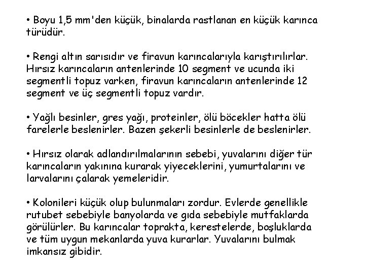  • Boyu 1, 5 mm'den küçük, binalarda rastlanan en küçük karınca türüdür. •