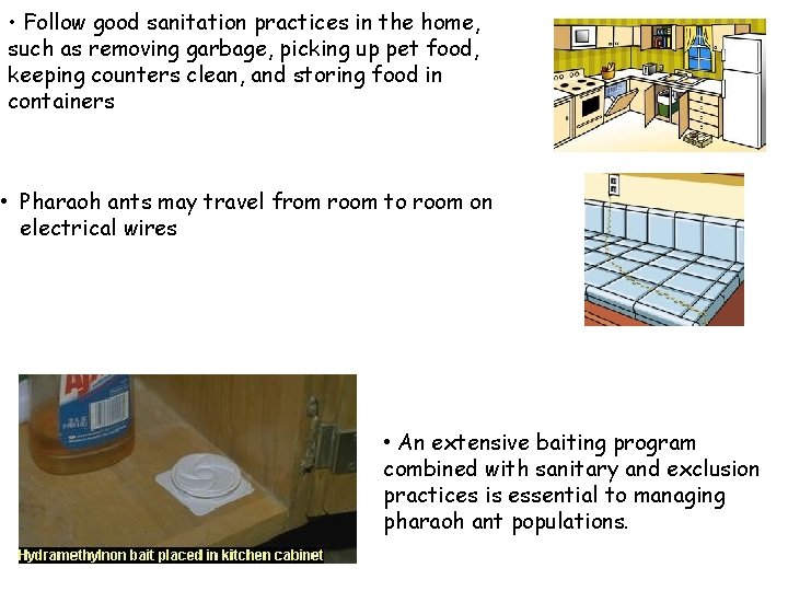  • Follow good sanitation practices in the home, such as removing garbage, picking